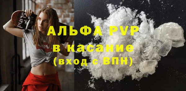 стаф Магадан