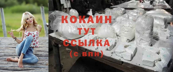 стаф Магадан