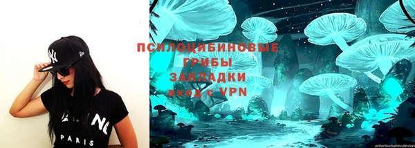 дживик Лихославль